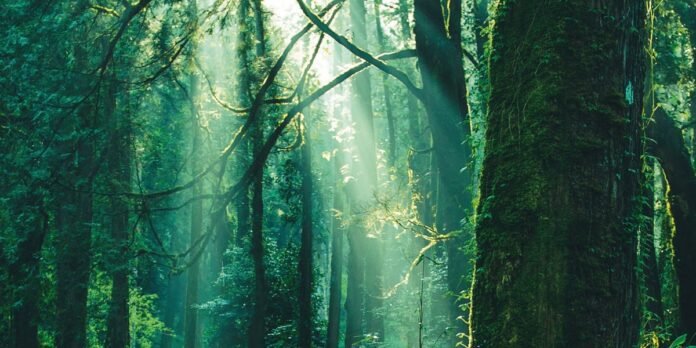 GREEN-CRIMINOLOGY-nuove-tecnologie-ecologiche GREEN CRIMINOLOGY: nuove tecnologie ecologiche