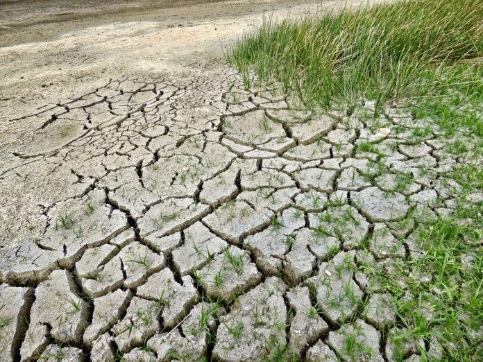 cambiamenti climatici