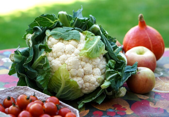 alimentazione