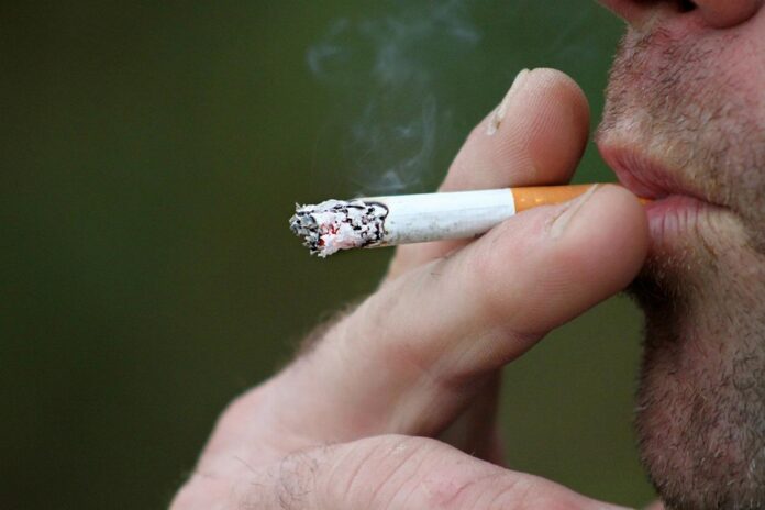 tabacco