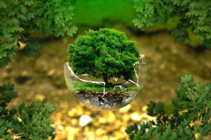 Giornata mondiale dell'ambiente
