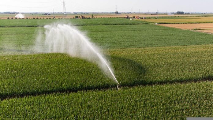 PFAS-agricoltura PFAS