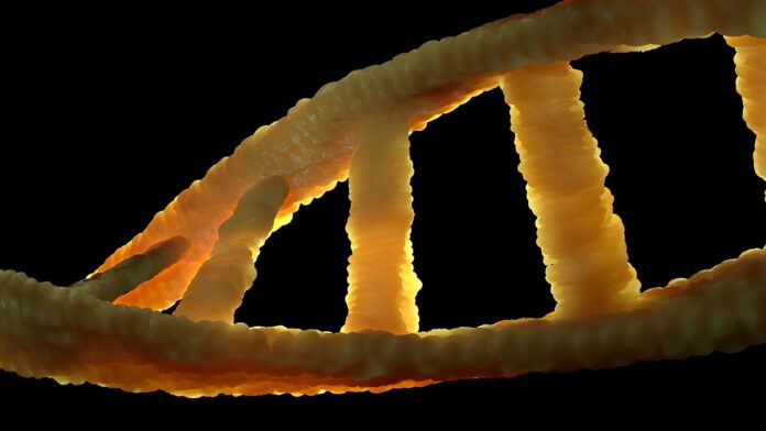 dna-malattie-genetiche Malattie genetiche
