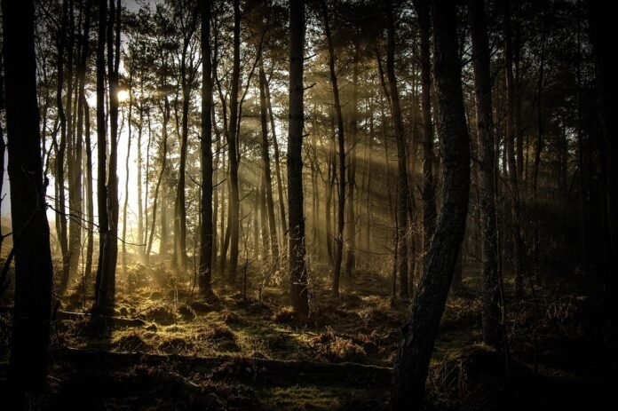 settimana del clima