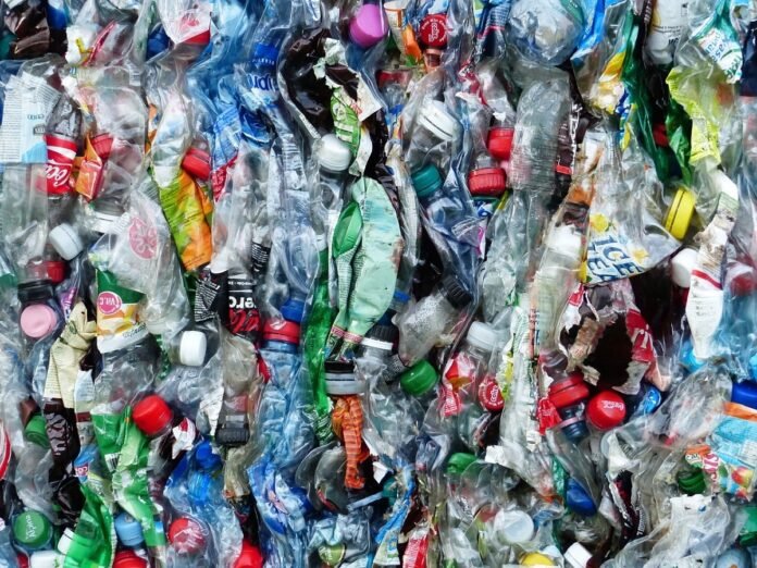 bottigie di plastica verme