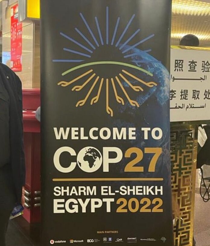 stendardo welcome to Cop27