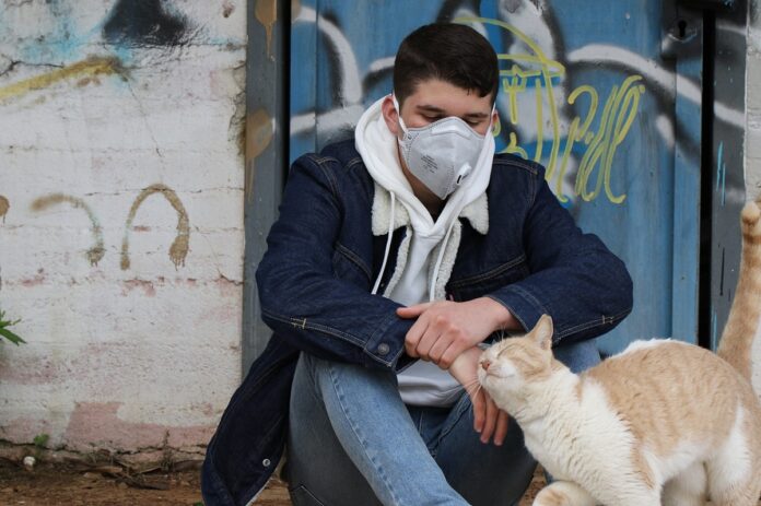 pandemia-gatto-ragazzo-fusa-mascherina gatto, fa le fusa a un ragazzo con la mascherina, pandemia