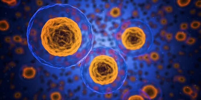 cellule-vaccini-contro-il-cancro vaccini contro il cancro