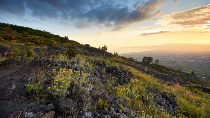 Parco nazionale del Vesuvio