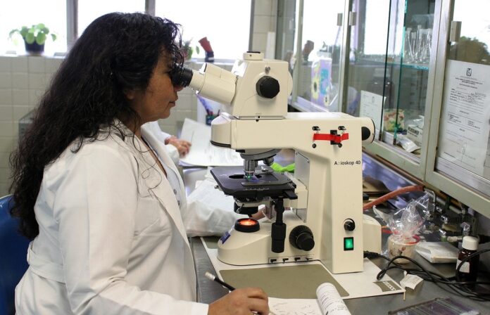 laboratorio, microscopio: terapia mesotelioma, proteina