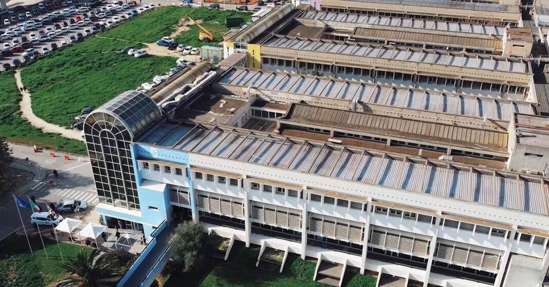 colera in Sardegna, falso allarme