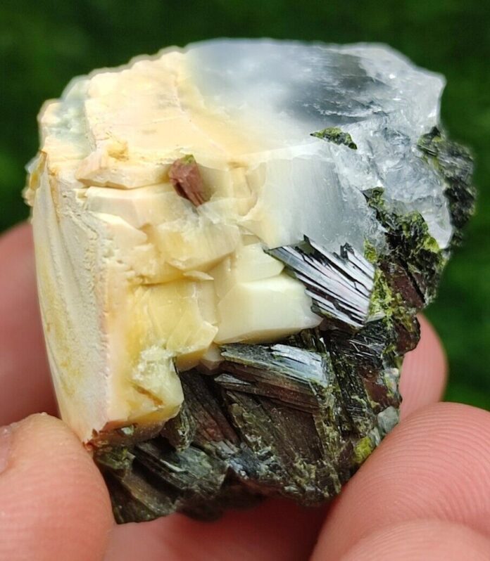 Anfiboli rari
