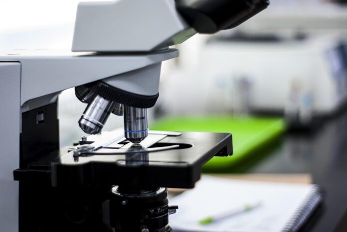 microscopio