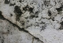 Foto esclusivamente decorativa, fibra amianto