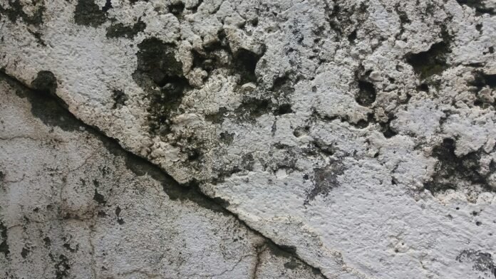 Foto esclusivamente decorativa, fibra amianto