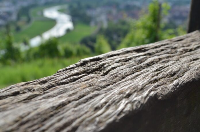 immagine legno su sfondo naturale