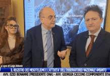 Mesoteliomi, Bonanni e Cicconi