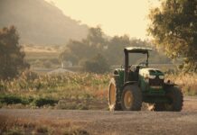 Foto di The_Northern_Photographer da Pixabay