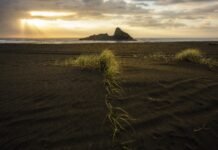 In una spiaggia del Regno Unito è stato ritrovato amianto (Foto free esclusivamente decorativa di nwatson12 da Pixabay)