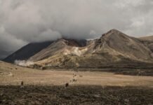 Amianto e Nuova Zelanda, circa 220 morti l’anno Nuova Zelanda, Foto free di Janusz Jeziorski da Pixabay