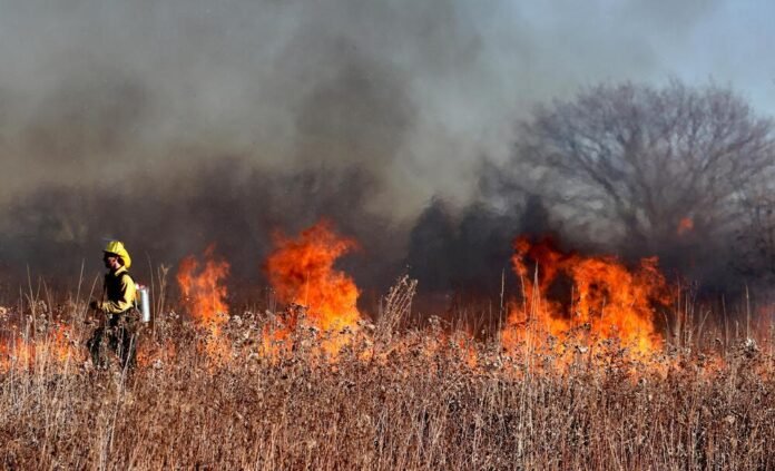 terski-firefighter-5799151 (1) Foto di Ted Erski da Pixabay